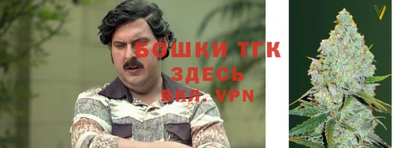 дурь Арсеньев