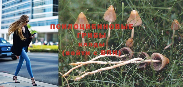 дурь Арсеньев
