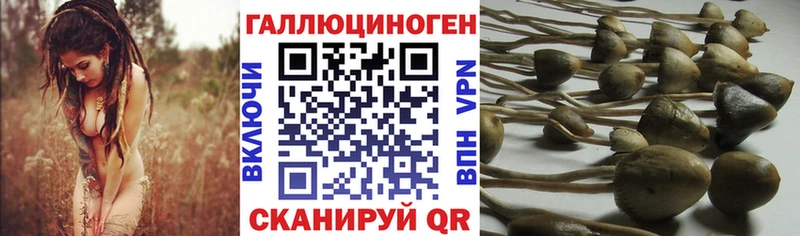 Псилоцибиновые грибы Magic Shrooms  Майский 